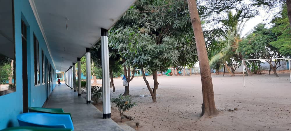 WhatsApp Image 2020-07-01 at 14.01.04